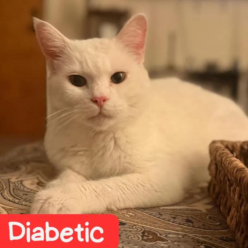 Lily Houston thumbnail 5