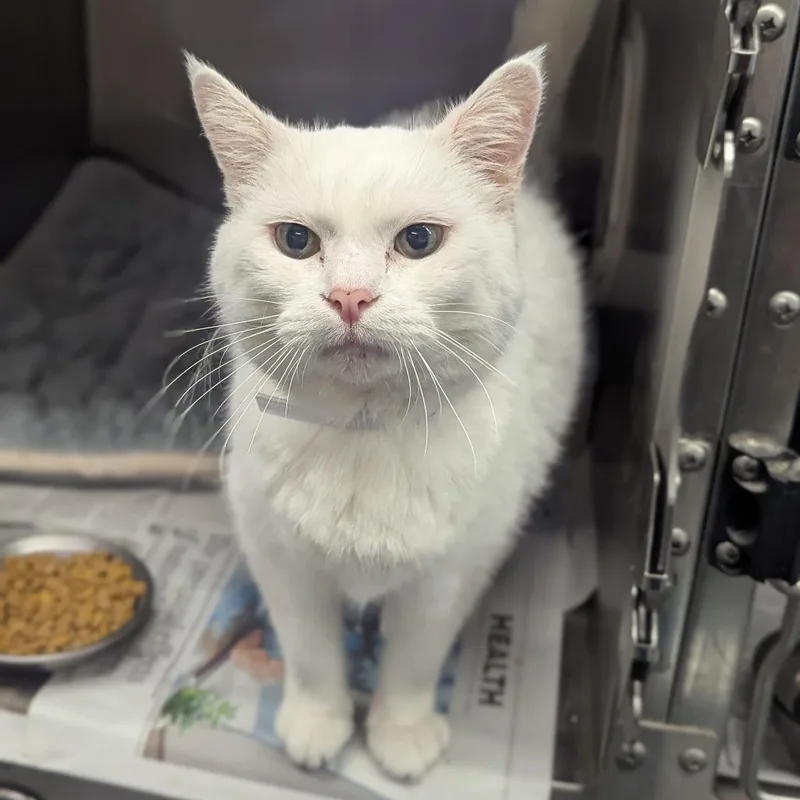 Lily Houston thumbnail 6