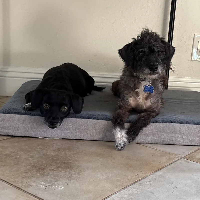Twinkle Costa Mesa Location thumbnail 5