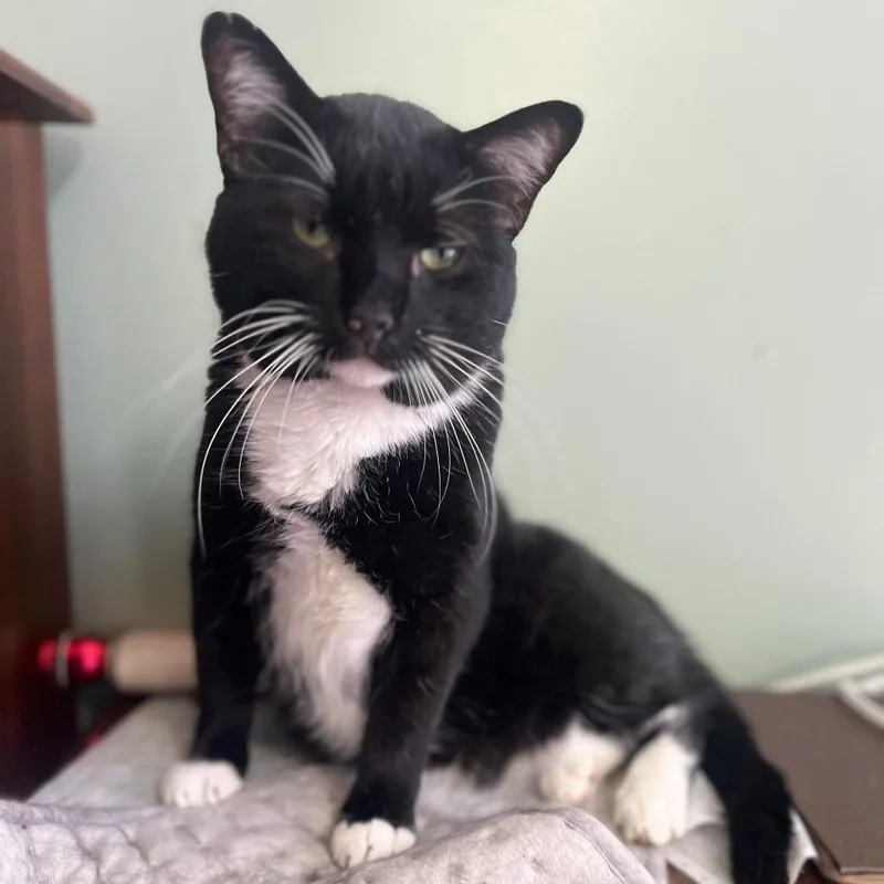 James Pawned thumbnail 2