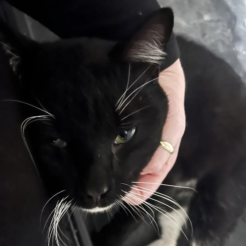 James Pawned thumbnail 5