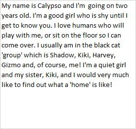 Calypso thumbnail 5