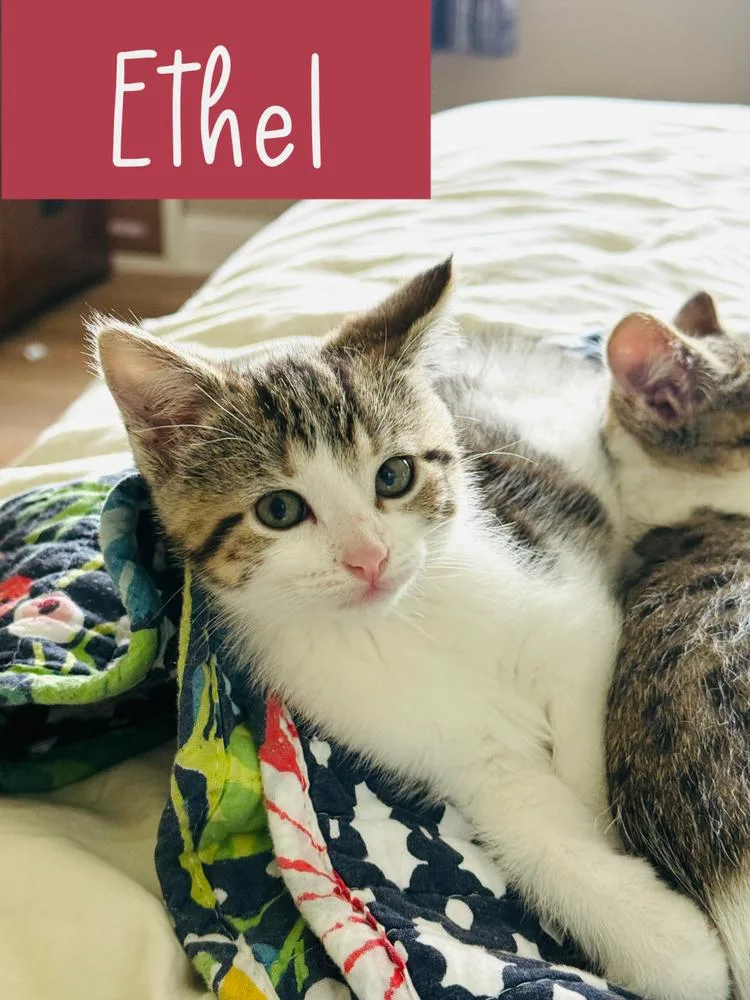 Ethel thumbnail 3
