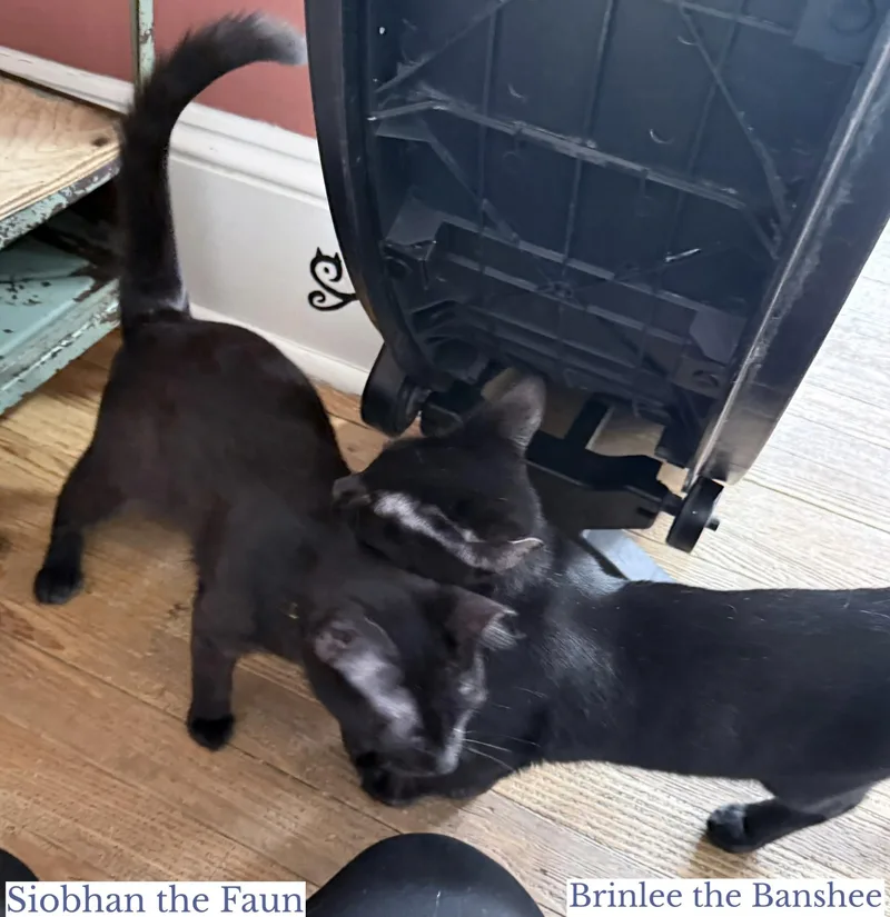 Siobhan The Faun thumbnail 6