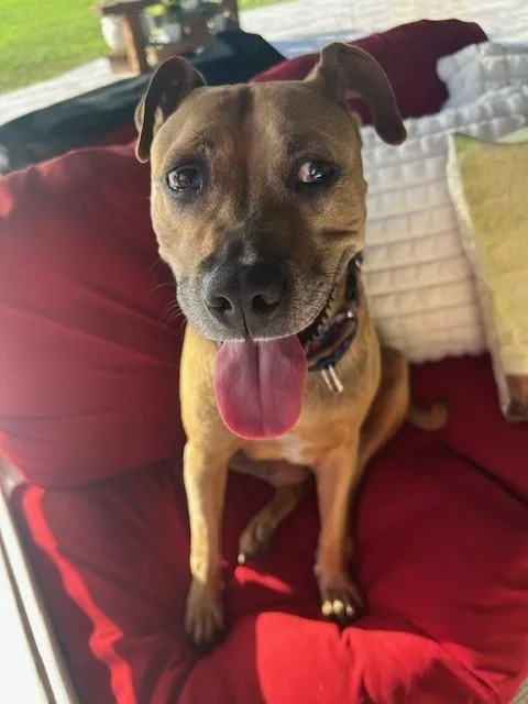 Bernadette thumbnail 2