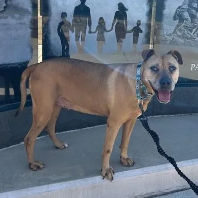 Bernadette thumbnail 3