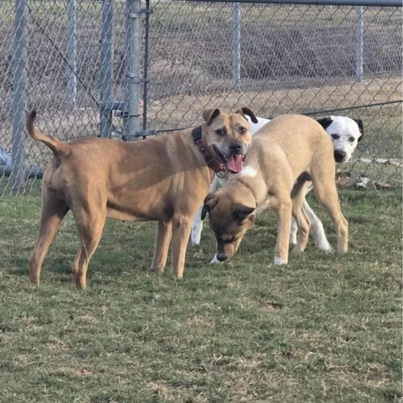 Bernadette thumbnail 4