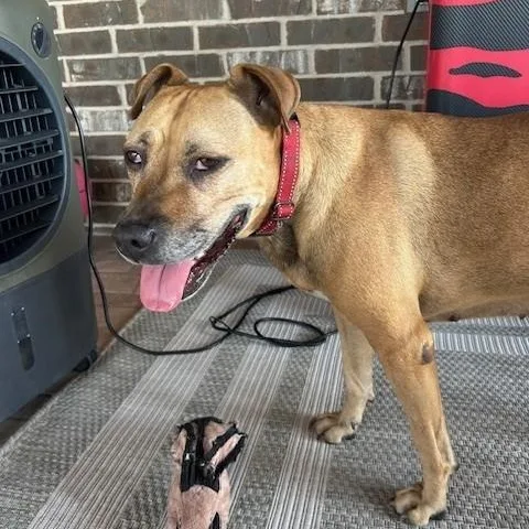 Bernadette thumbnail 5