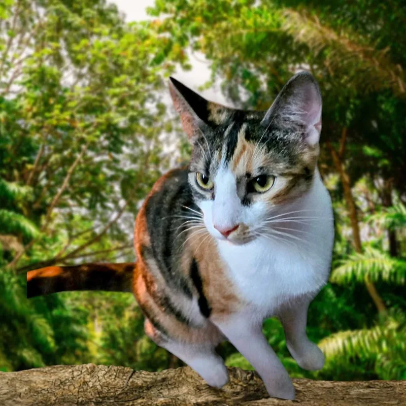 Cleopatra thumbnail 4