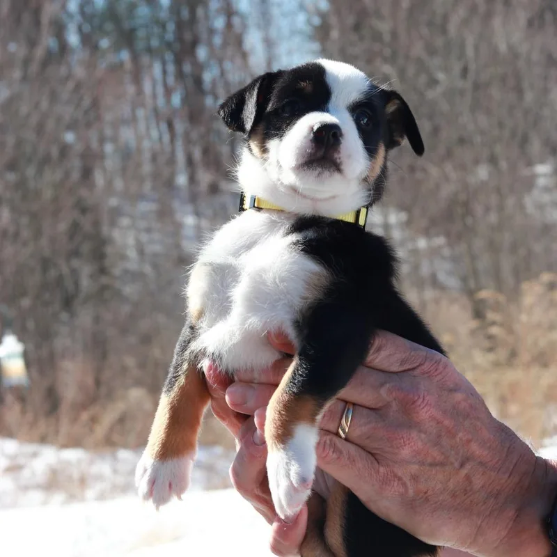 Ct Snow Avail Mar thumbnail 3