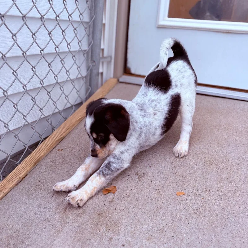 Sweet Thang thumbnail 2