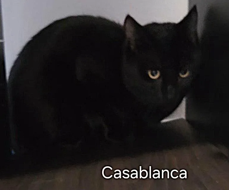 Casablanca