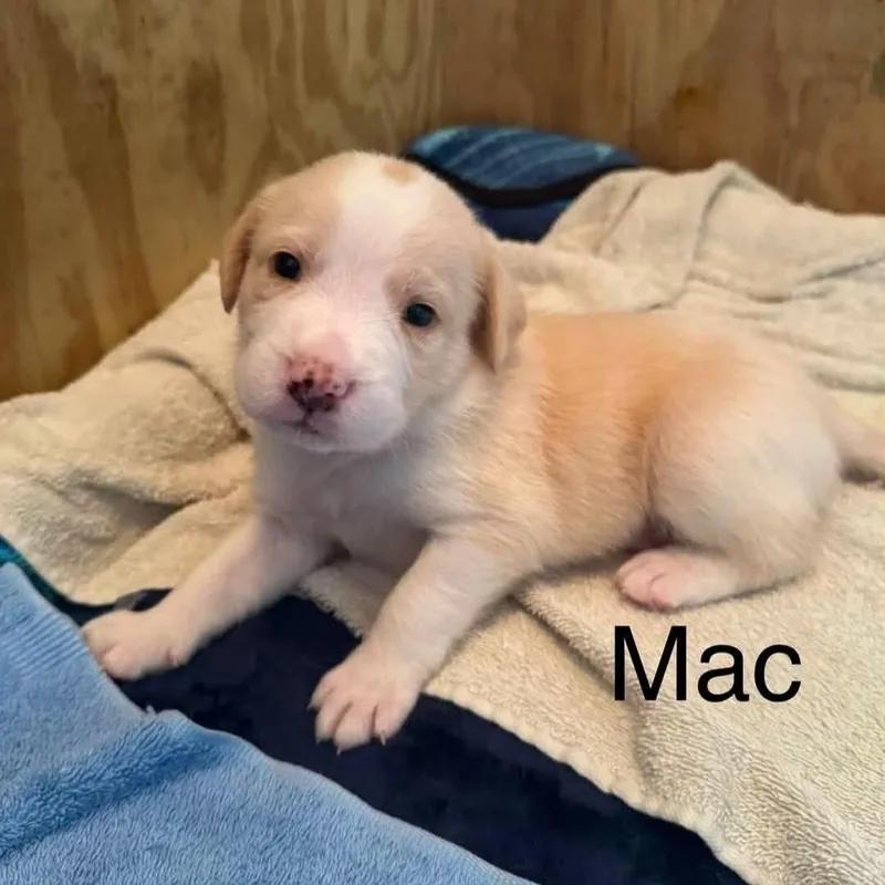 Mac thumbnail 2