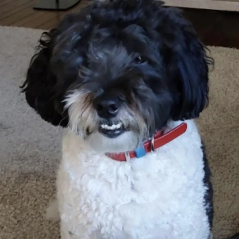 Ralph