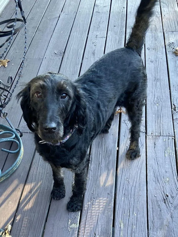 Sally Sage thumbnail 2