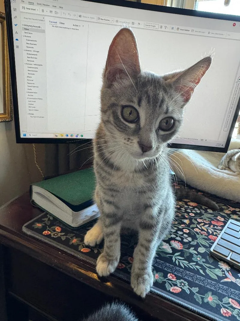 Winnie