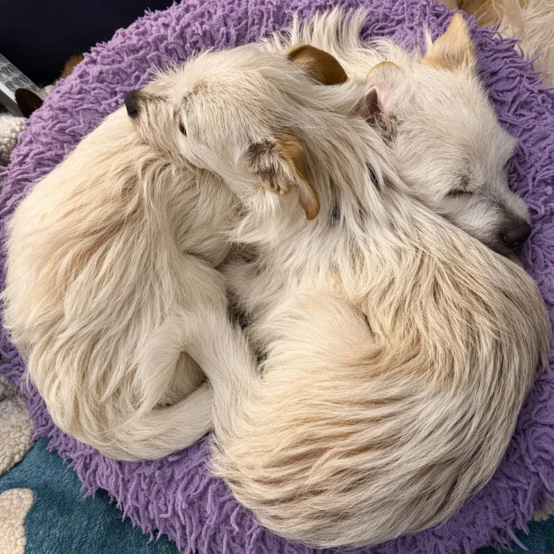 Bella & Lena thumbnail 4