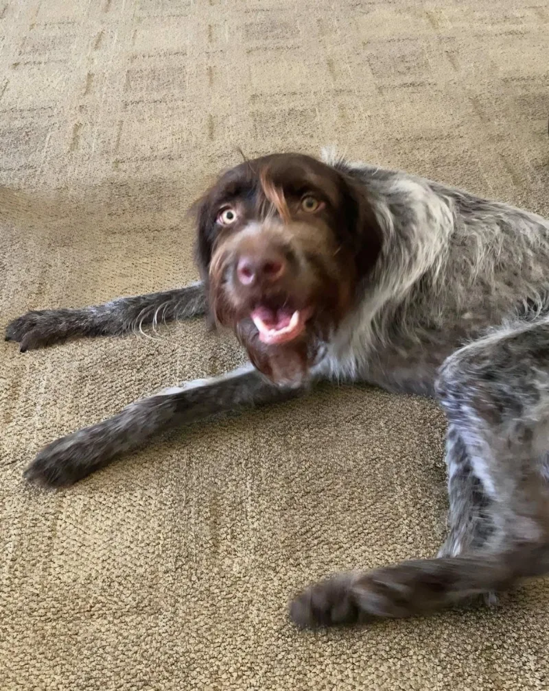 Rosie