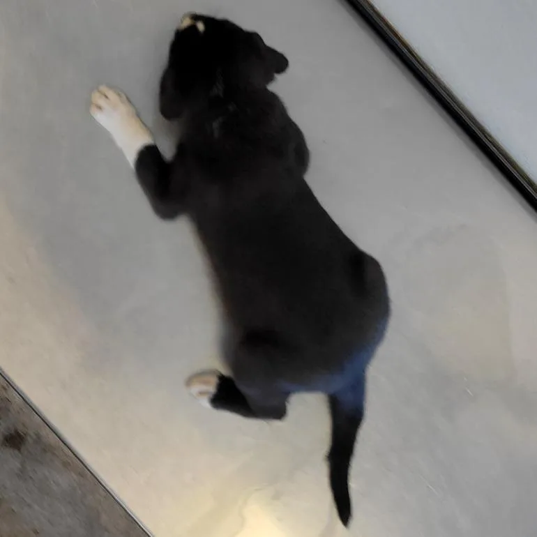108866 thumbnail 2