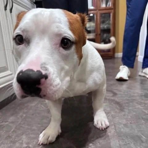 Benson thumbnail 2