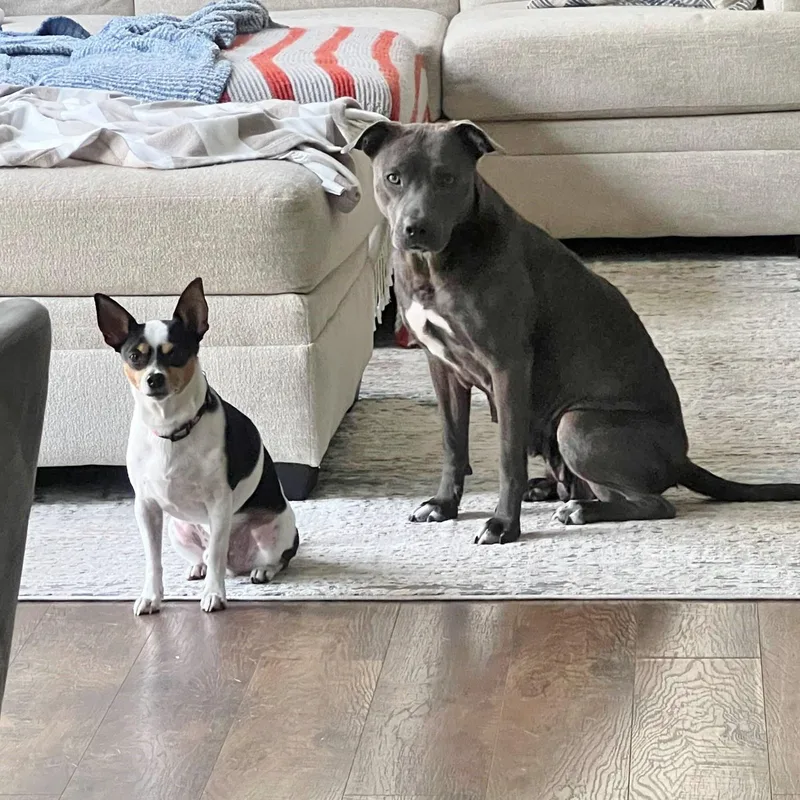 Snow White thumbnail 2