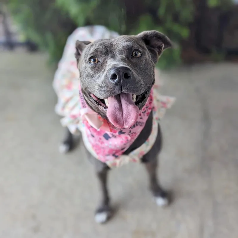 Snow White thumbnail 5