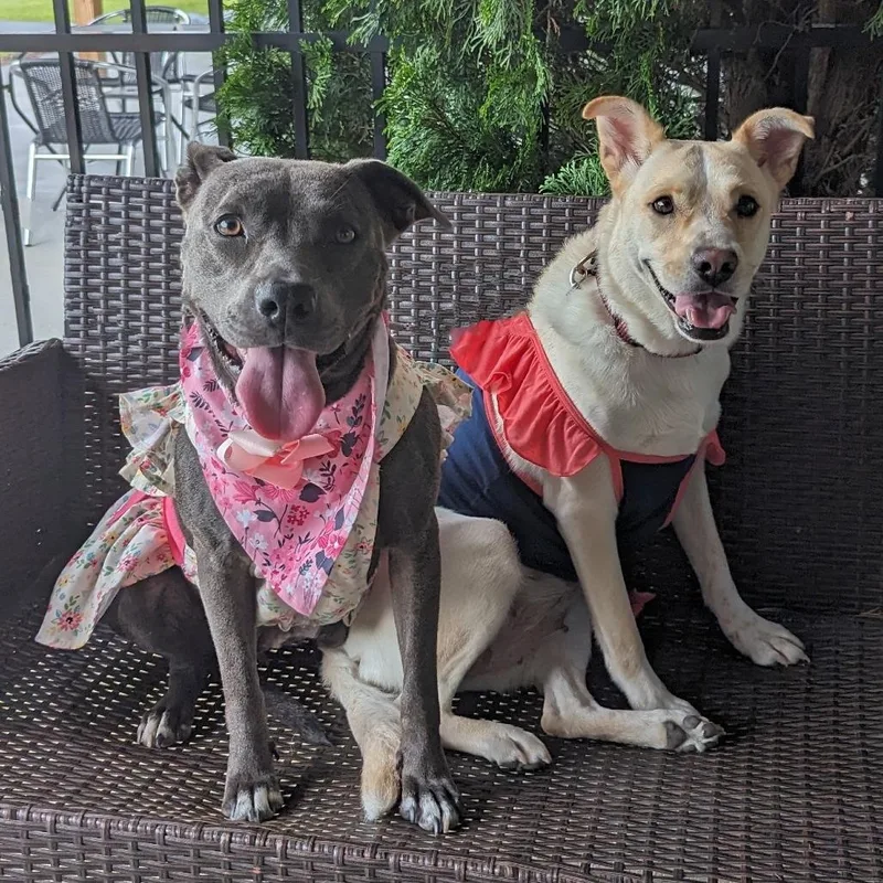 Snow White thumbnail 6