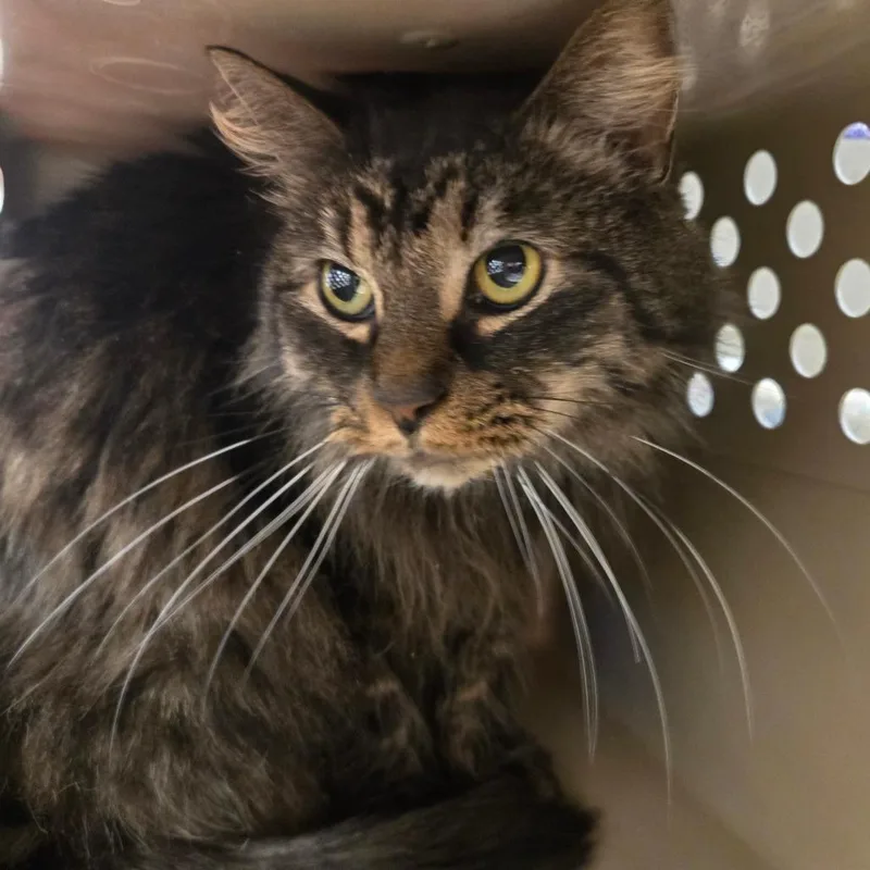 Ezra Fitz thumbnail 2