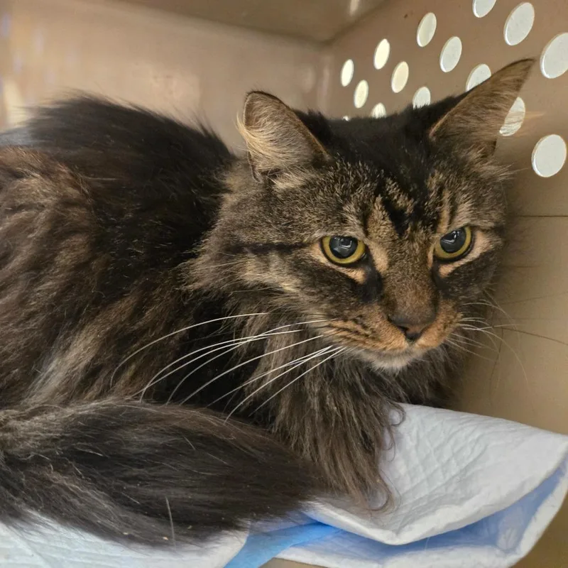 Ezra Fitz thumbnail 3