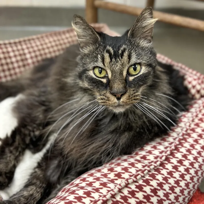 Ezra Fitz thumbnail 5