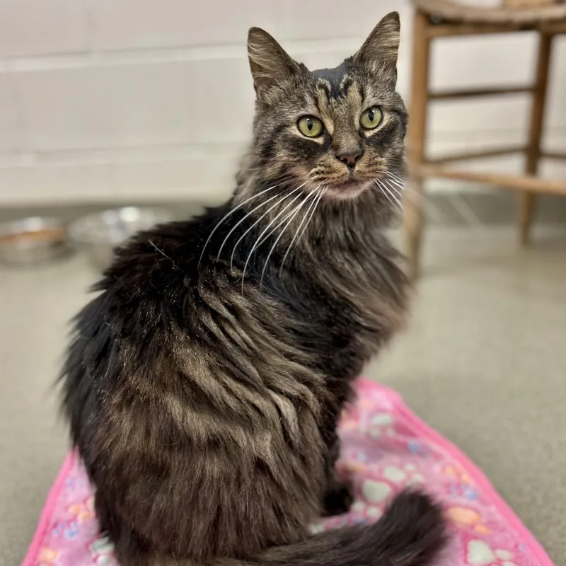 Ezra Fitz thumbnail 6