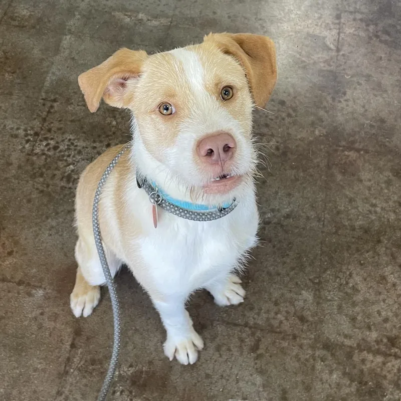 Sebastian thumbnail 3