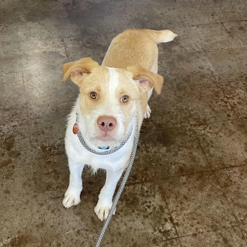 Sebastian thumbnail 4