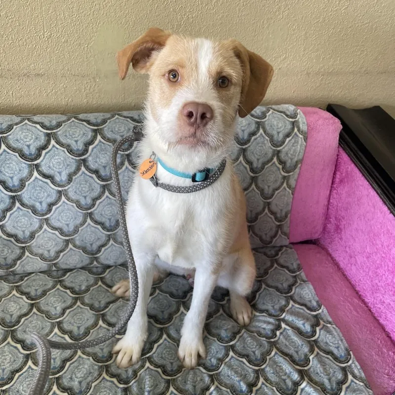 Sebastian thumbnail 5