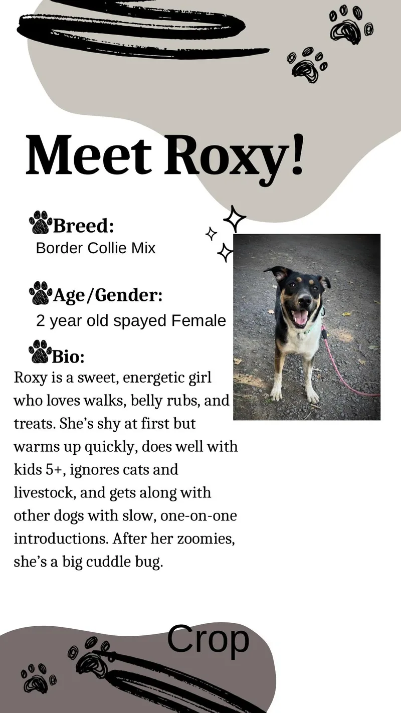Roxy