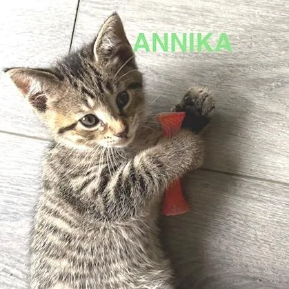 Annika