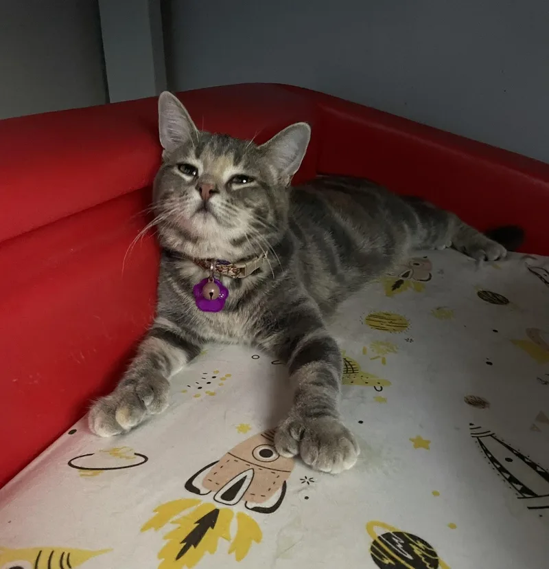 Madeleine thumbnail 2