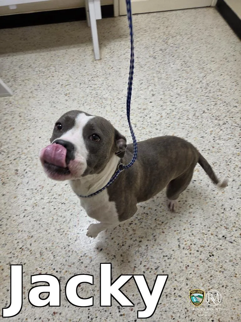 Jacky