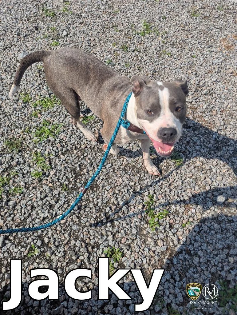 Jacky thumbnail 2