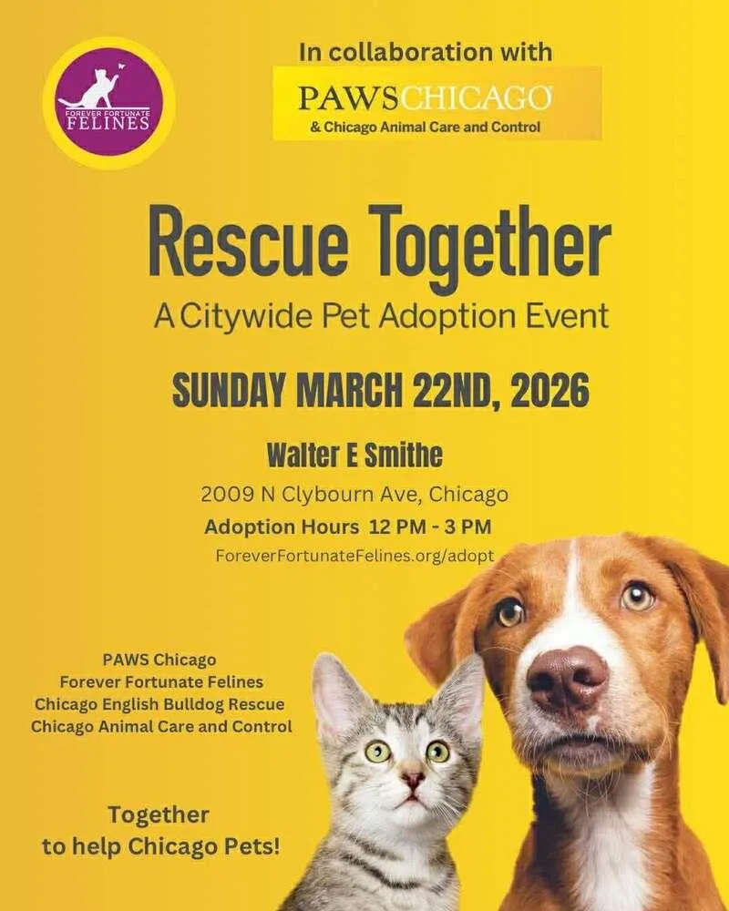 Valentine thumbnail 2