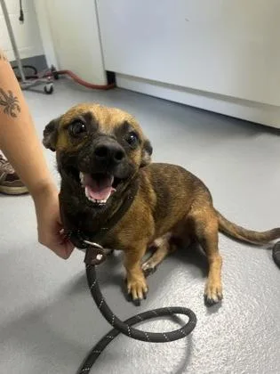 Lightning Mcqueen thumbnail 2