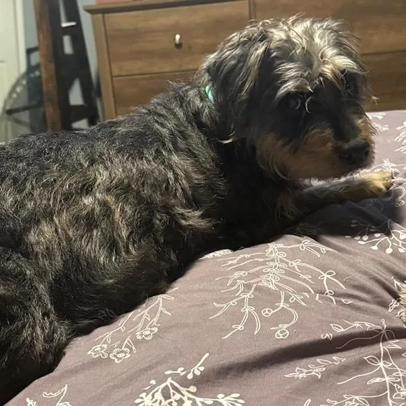 Lucy Mae thumbnail 3