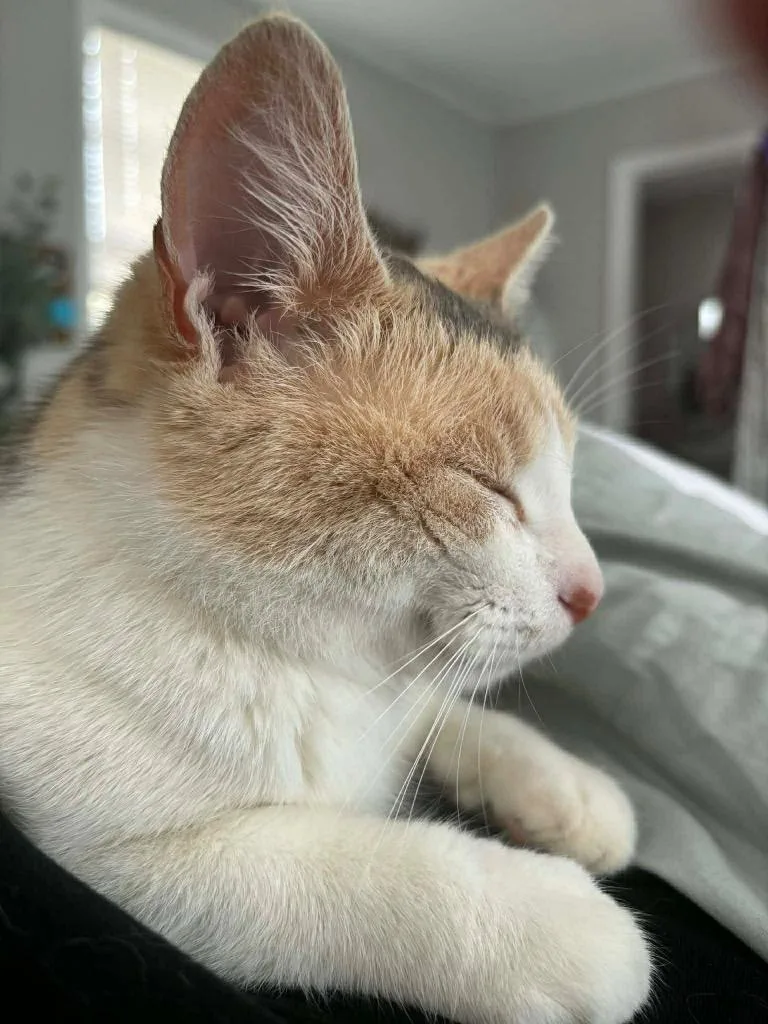 Lily Mae thumbnail 3