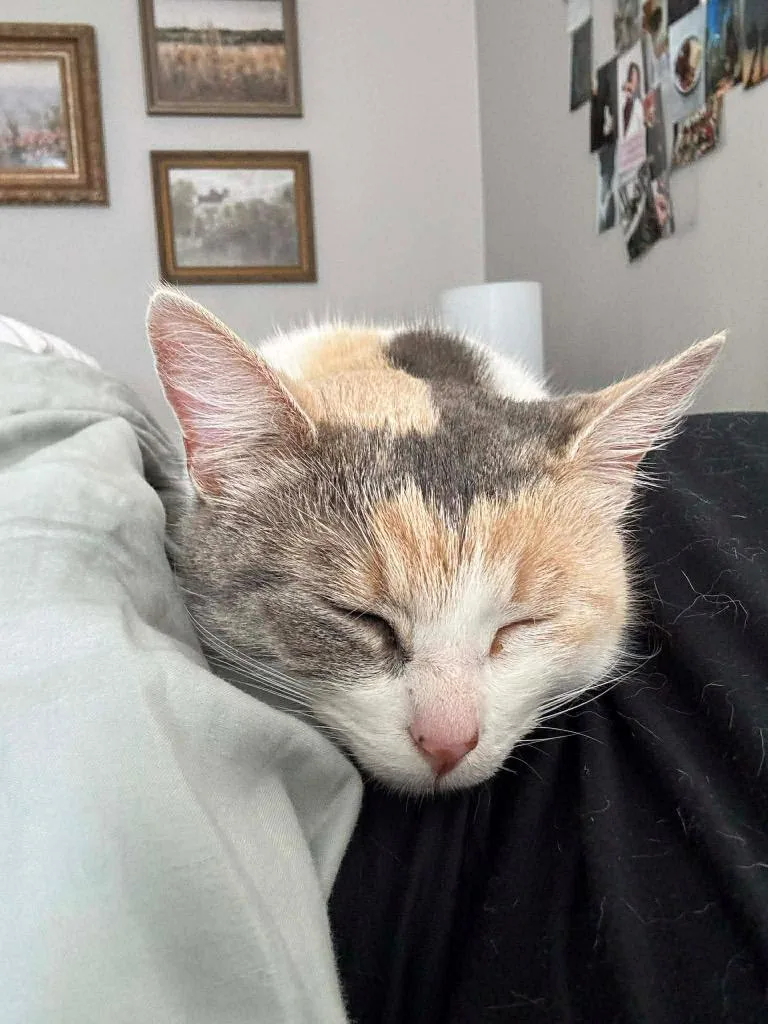 Lily Mae thumbnail 4