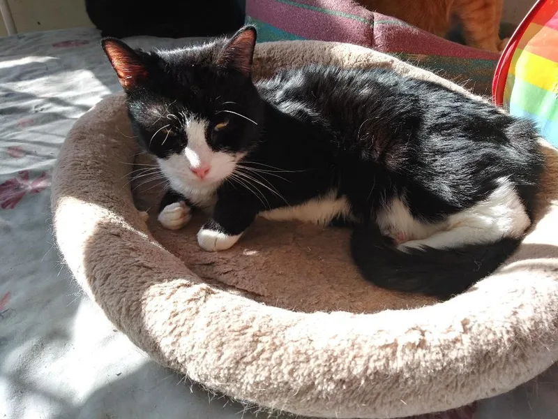 Jasper Rich  Loving thumbnail 2