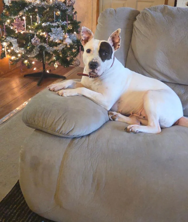 Rosie Rose thumbnail 2