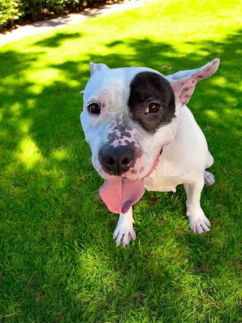 Rosie Rose thumbnail 3