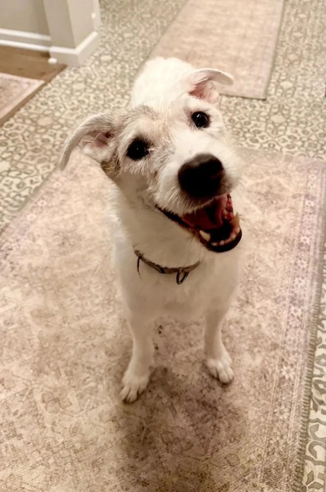 Roscoe