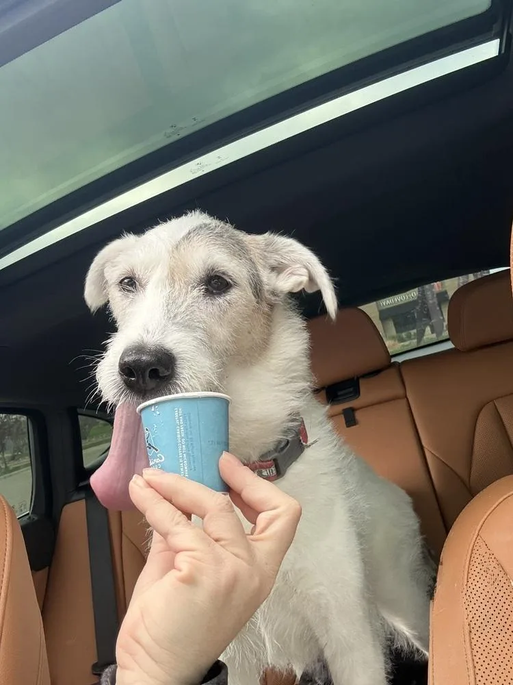 Roscoe thumbnail 2