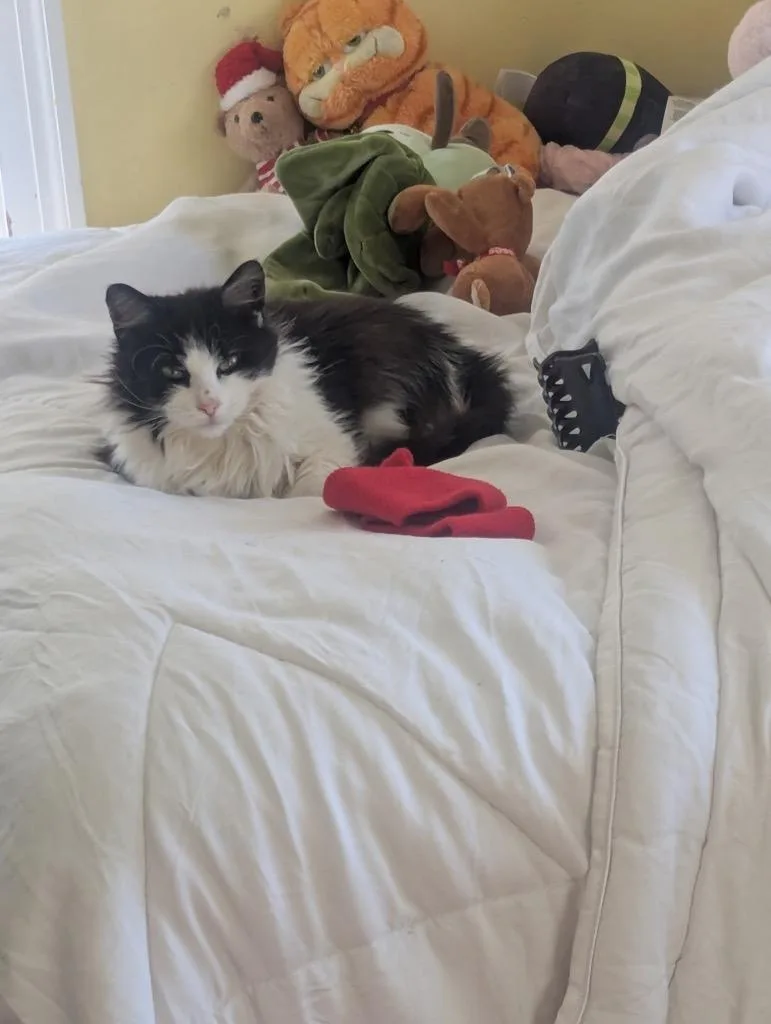 Titten thumbnail 2